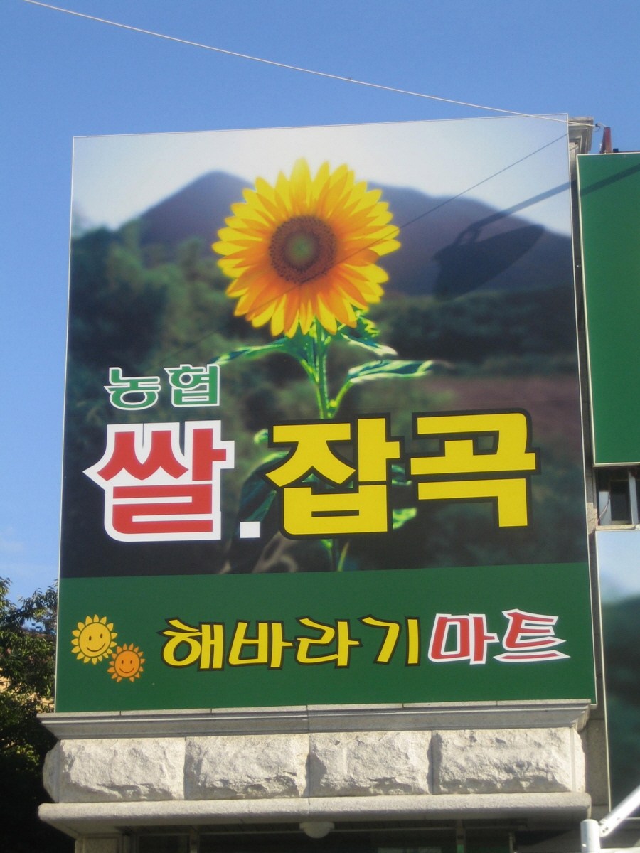 2000769922_Wpfi6ObZ_c41df00e442c07adf7823d631832e0a985952786.jpg 이미지크게보기